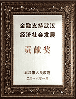 2016年金融支持武汉经济社会发展贡献奖
