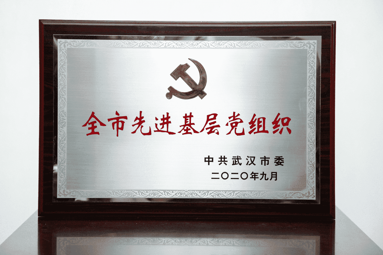 2020年全市先进基层党组织